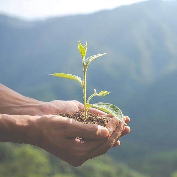Przyjazny dla zdrowia i środowiska